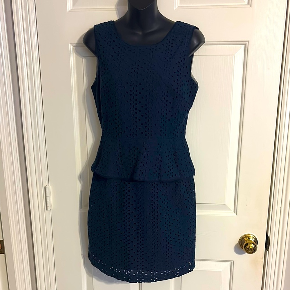 BCBG Paris Emily Peplum Dress Size 4
